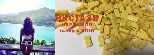 хмурый Няндома