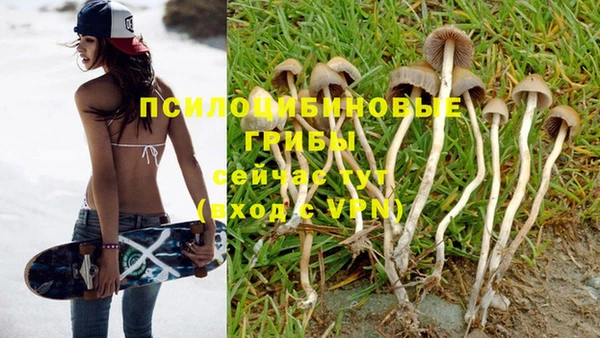 мяу мяу кристалл Осинники