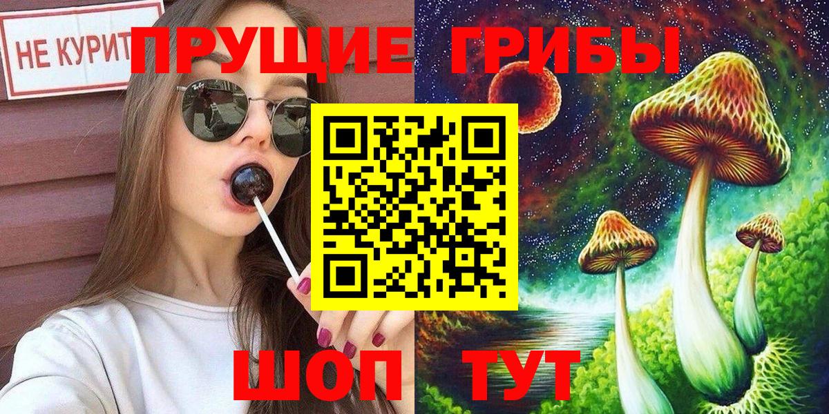 Галлюциногенные грибы Psilocybe Сатка