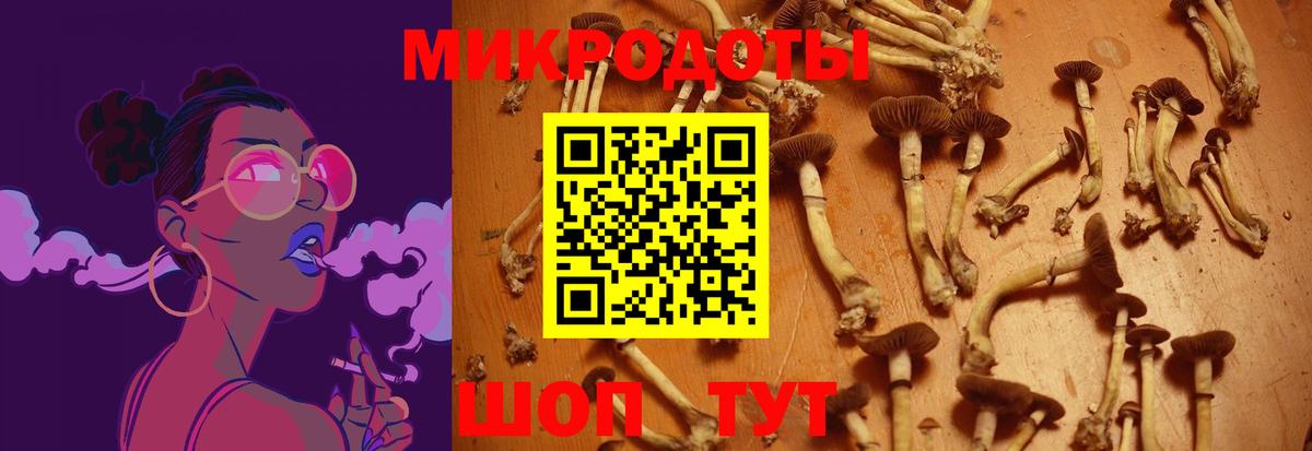 Псилоцибиновые грибы MAGIC MUSHROOMS Сатка