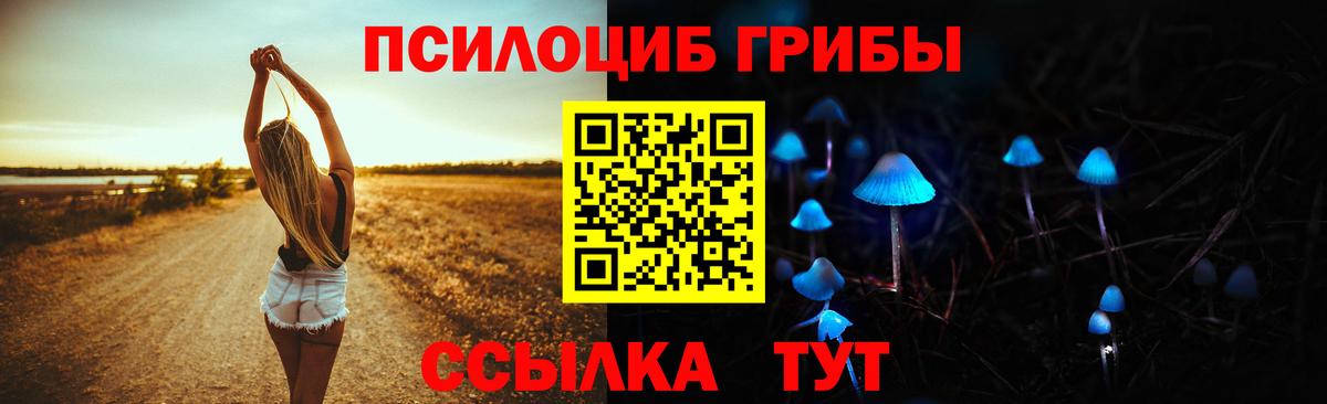 Псилоцибиновые грибы GOLDEN TEACHER  Вход с VPN  Сатка 